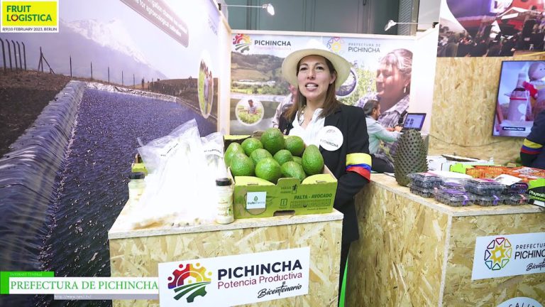 [FRUIT LOGISTICA 2023] Avocado, onion, pitahaya, golden berry - PREFECTURA DE PICHINCHA