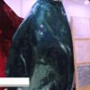maxresdefault-8.jpg