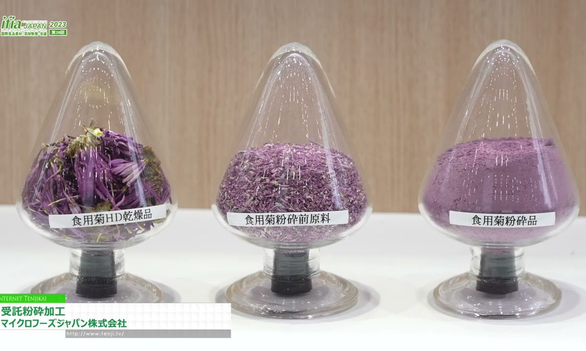 maxresdefault-94.jpg