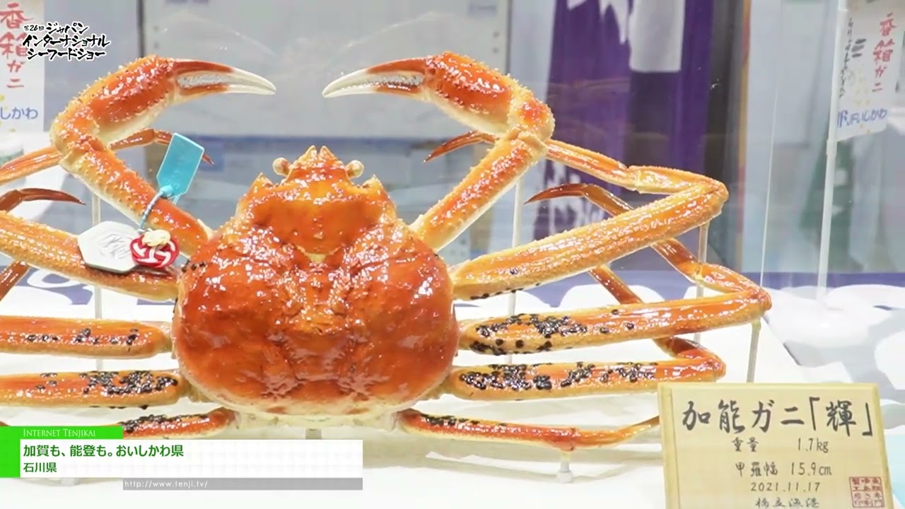 Highlights from [26th “Japan International Seafood Show”] Both Kaga and Noto. Oishikawa Prefecture - Ishikawa prefecture