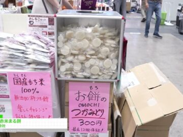 youtube-dZgrKufURiQ-en